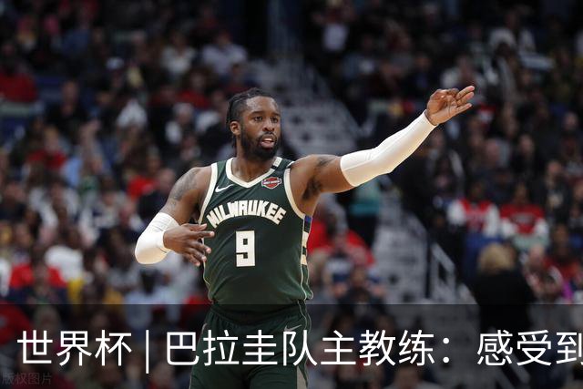世界杯 | 巴拉圭队主教练：感受到比赛的极致压力