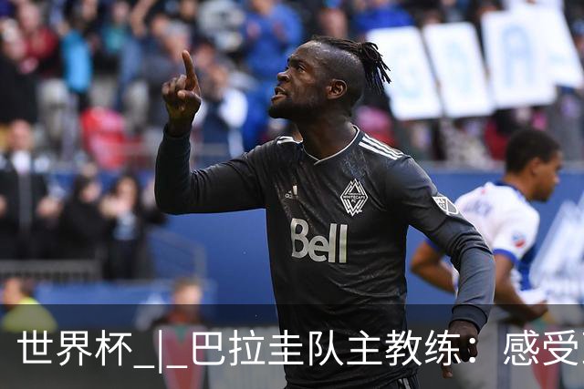 世界杯 | 巴拉圭队主教练：感受到比赛的极致压力