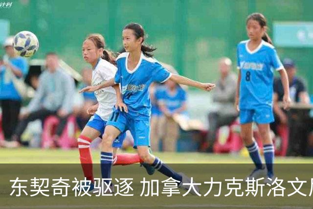 东契奇被驱逐 加拿大力克斯洛文尼亚晋级四强