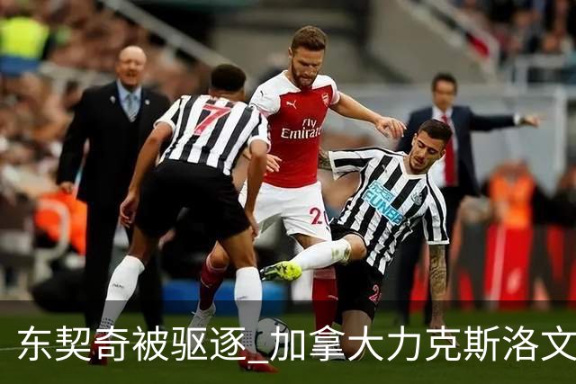 东契奇被驱逐 加拿大力克斯洛文尼亚晋级四强